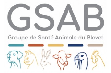 Gsab (Groupe De Santé Animale Du Blavet)