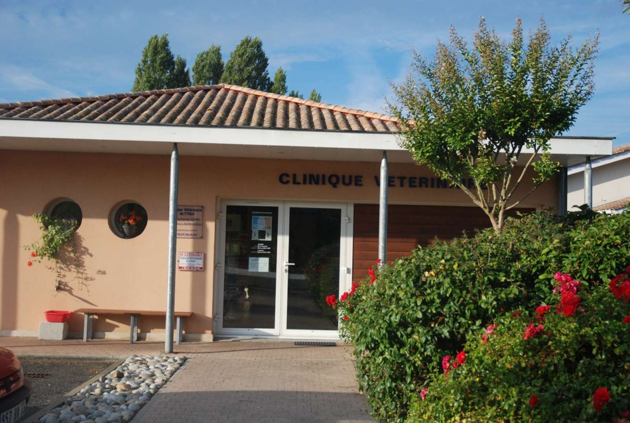 Clinique Vétérinaire De L'illot