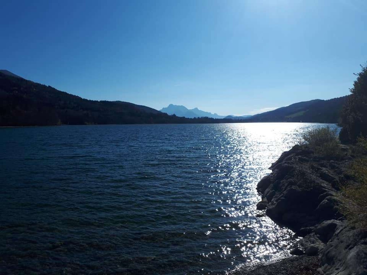 Clinique Vétérinaire Du Château