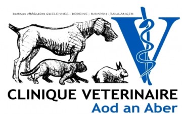 Clinique Vétérinaire Aod An Aber