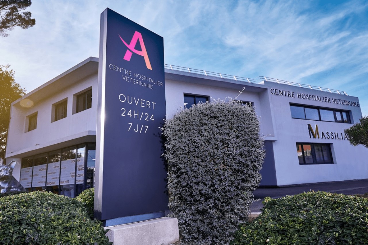 IVC EVIDENSIA France