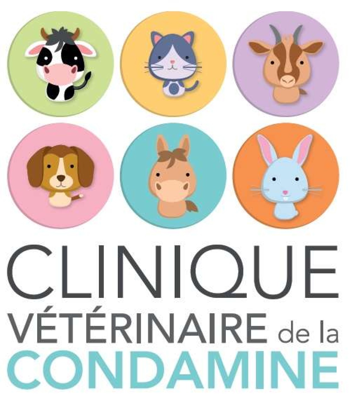 Clinique Veterinaire De La Condamine