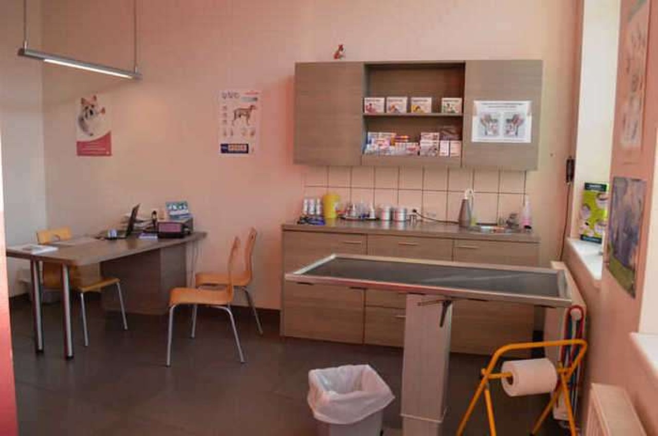 Cabinet Vétérinaire De Bergues