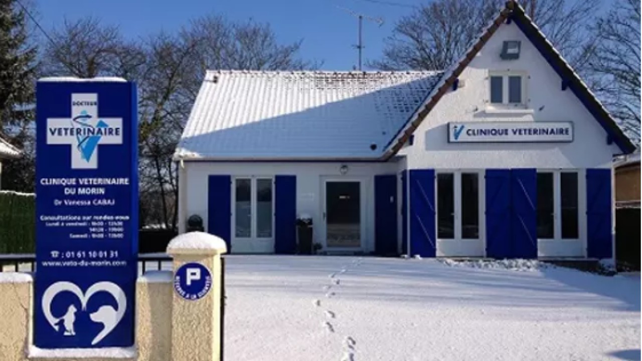 IVC EVIDENSIA France