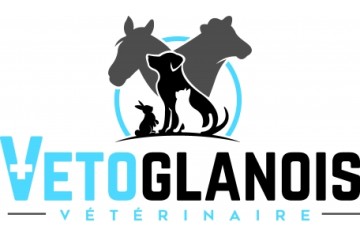 Vetoglanois