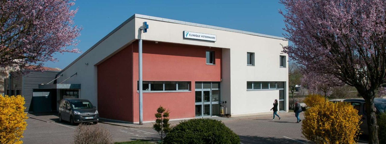 SCP des vétérinaires de Commercy