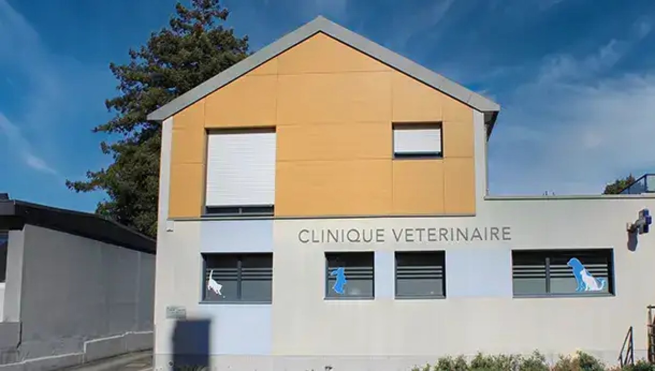 IVC EVIDENSIA France