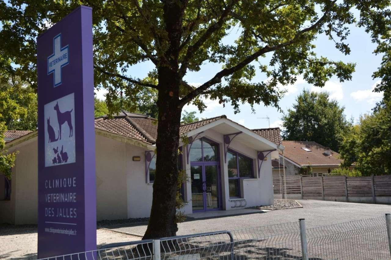 Clinique Vétérinaire Des Jalles