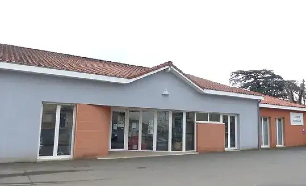 Vétérinaires Des Bastides