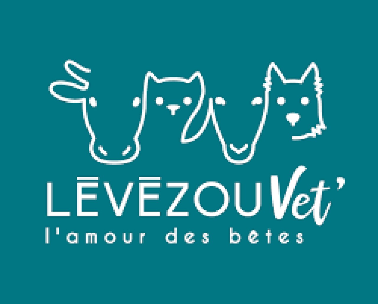 levezouVet'