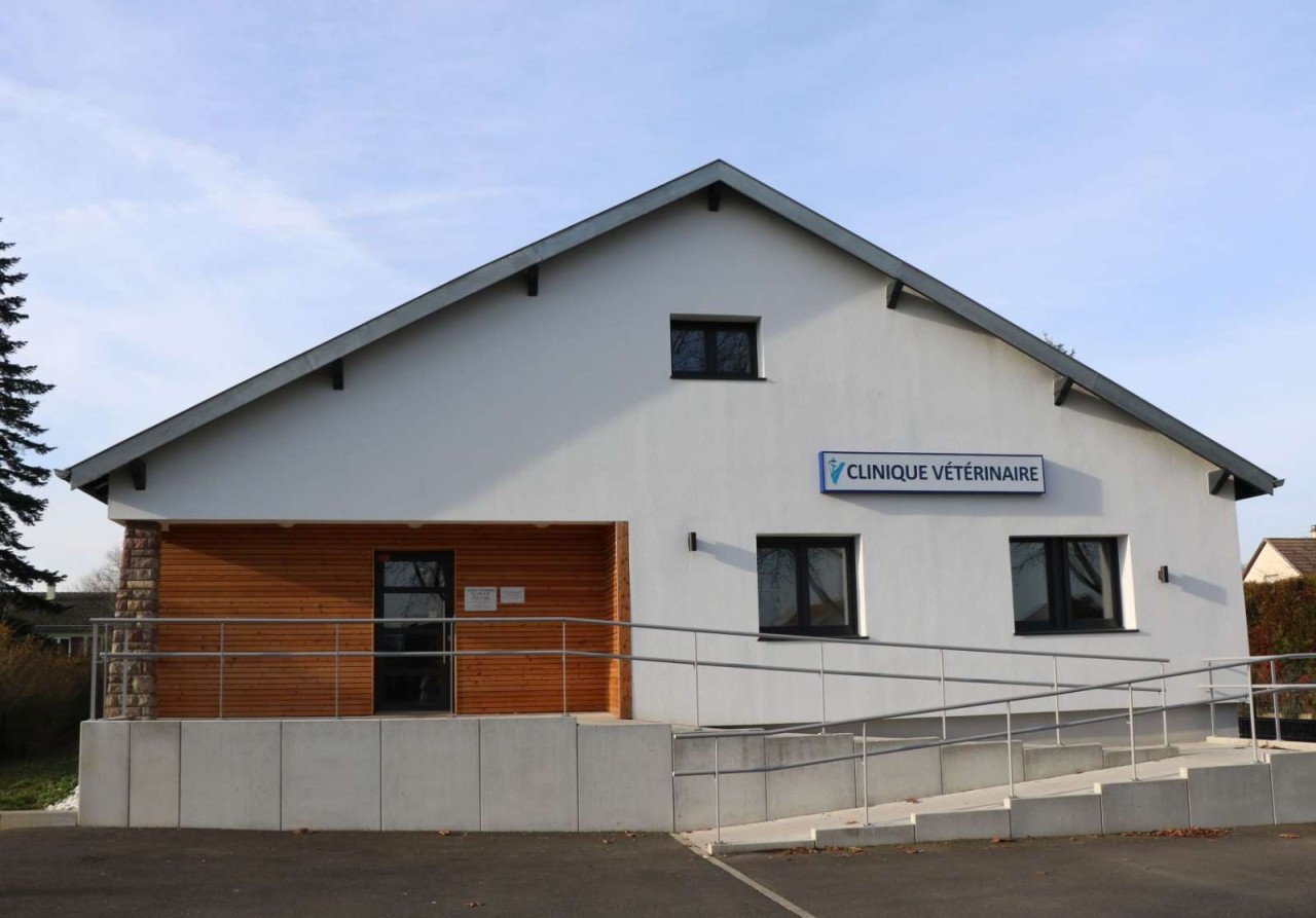 Clinique Vétérinaire Du Lion D'or