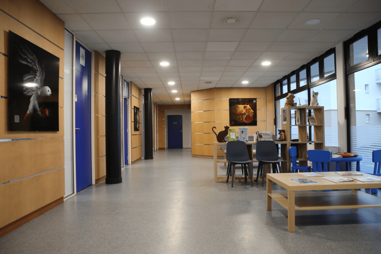 IVC EVIDENSIA France