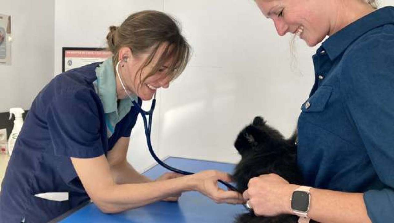 IVC EVIDENSIA France