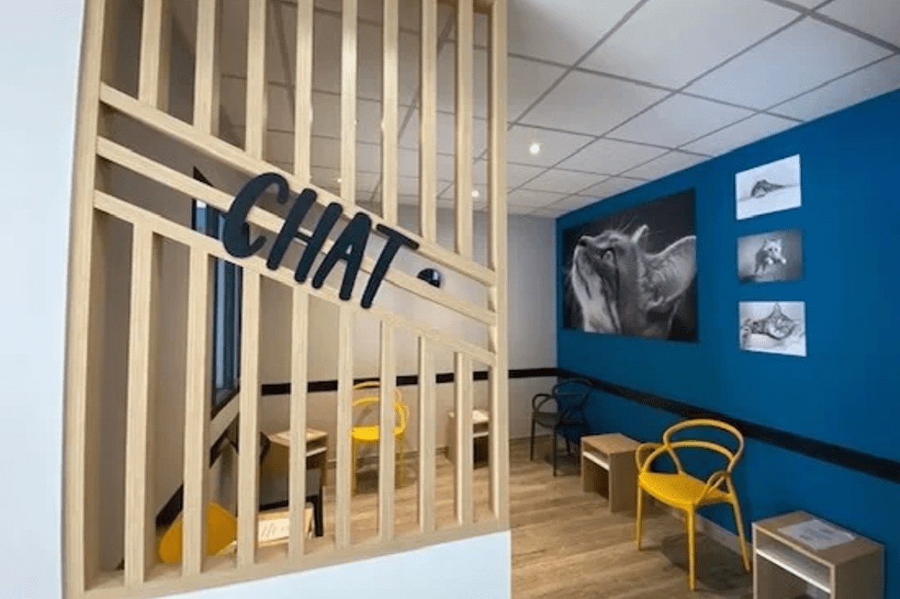 IVC EVIDENSIA France