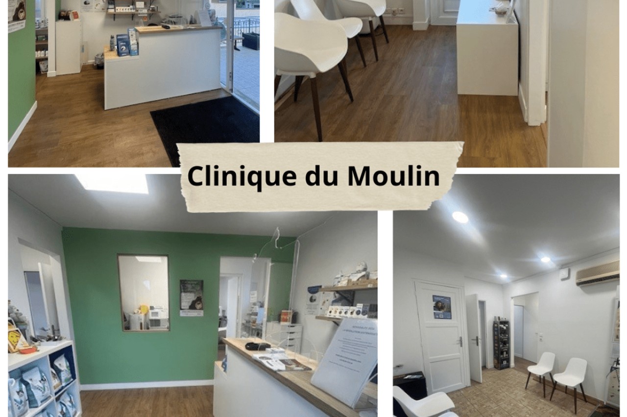 IVC EVIDENSIA France