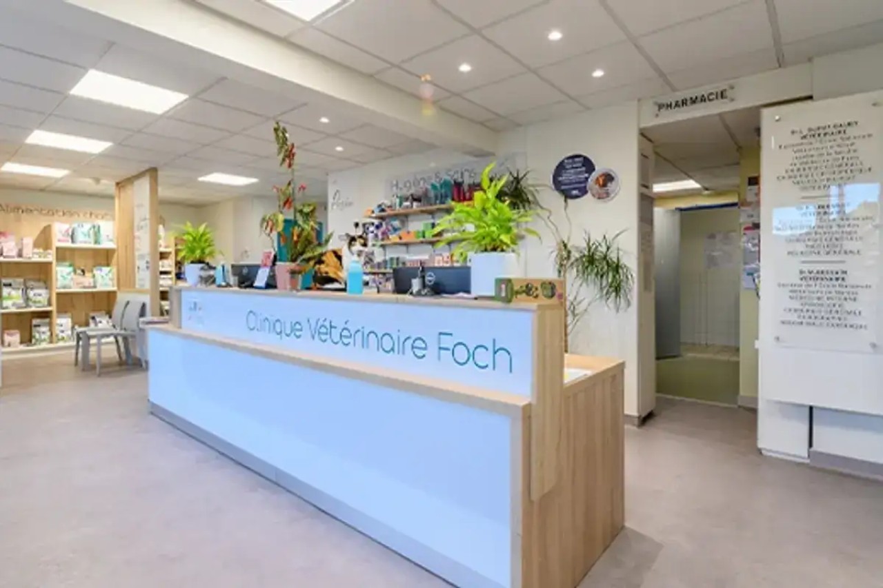 IVC EVIDENSIA France