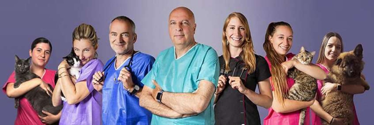 IVC EVIDENSIA France