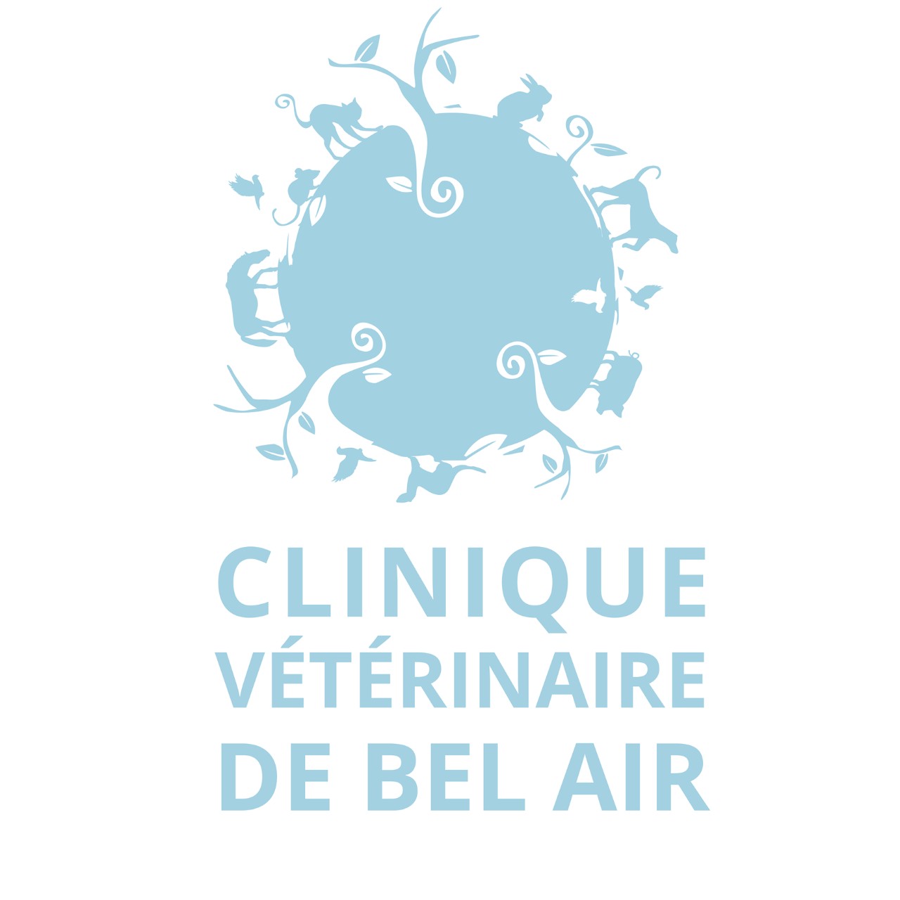 IVC EVIDENSIA France