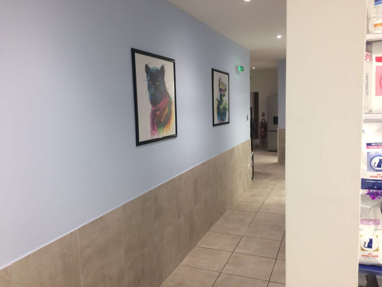 Clinique Véterinaire Du Las