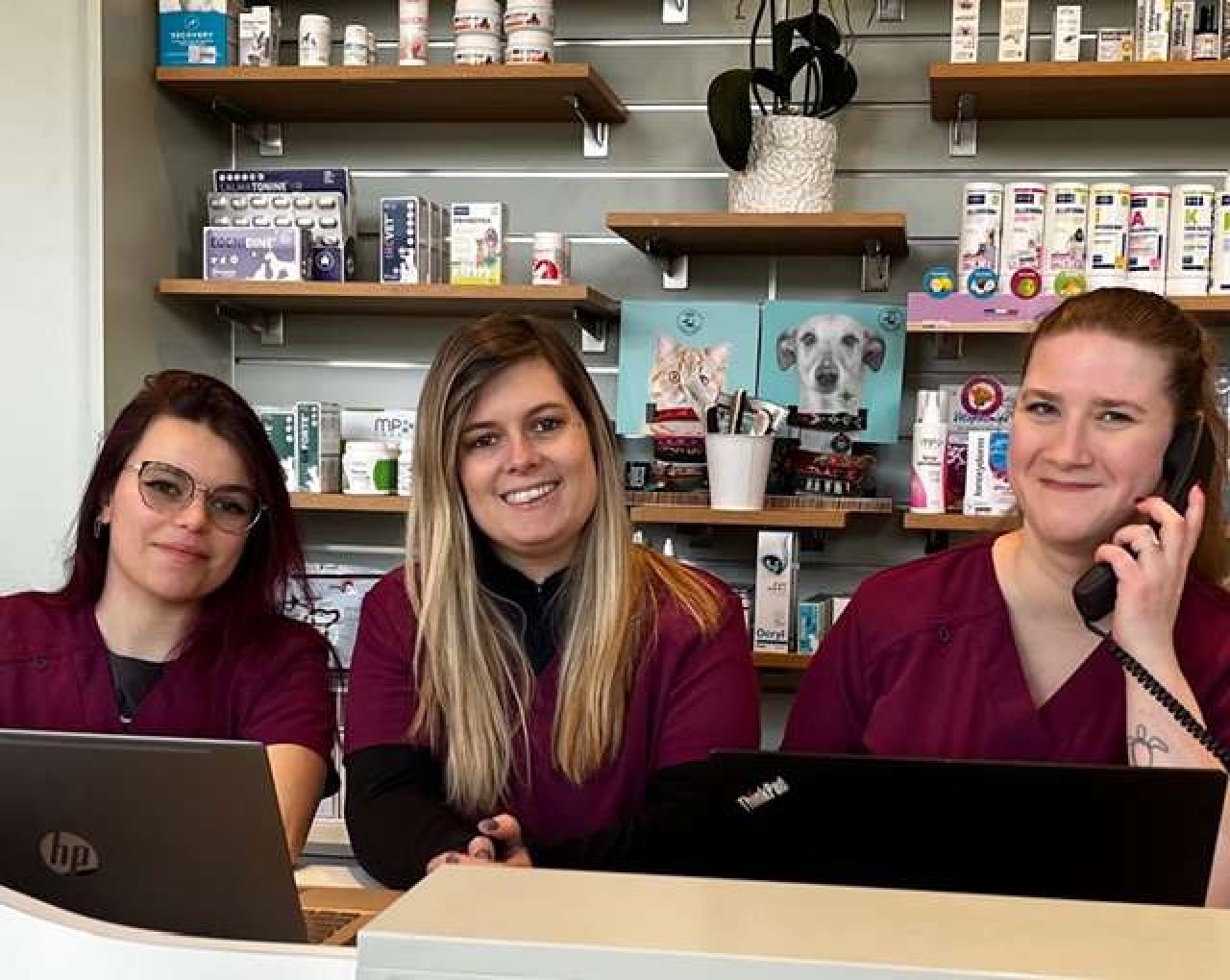 Cabinet Veterinaire De L'arche