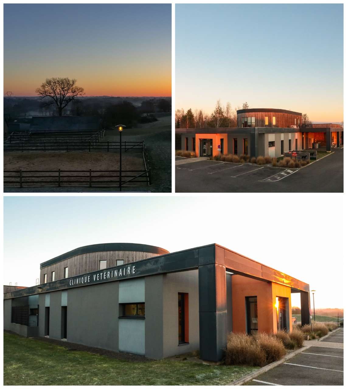 CLINIQUE VETERINAIRE DES FALUNS