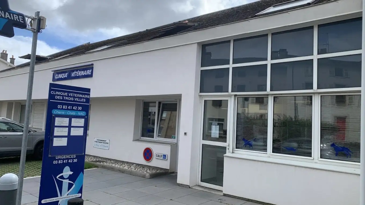 IVC EVIDENSIA France