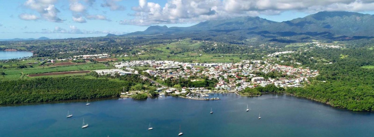 Clinique vétérinaire Goyave 