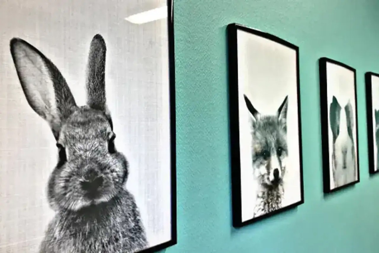 IVC EVIDENSIA France