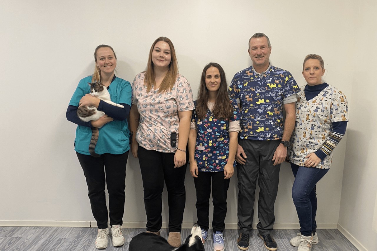 IVC EVIDENSIA France