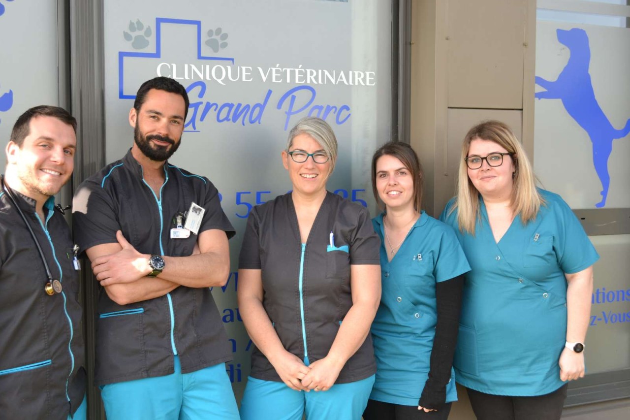 Clinique Veterinaire Du Grand Parc
