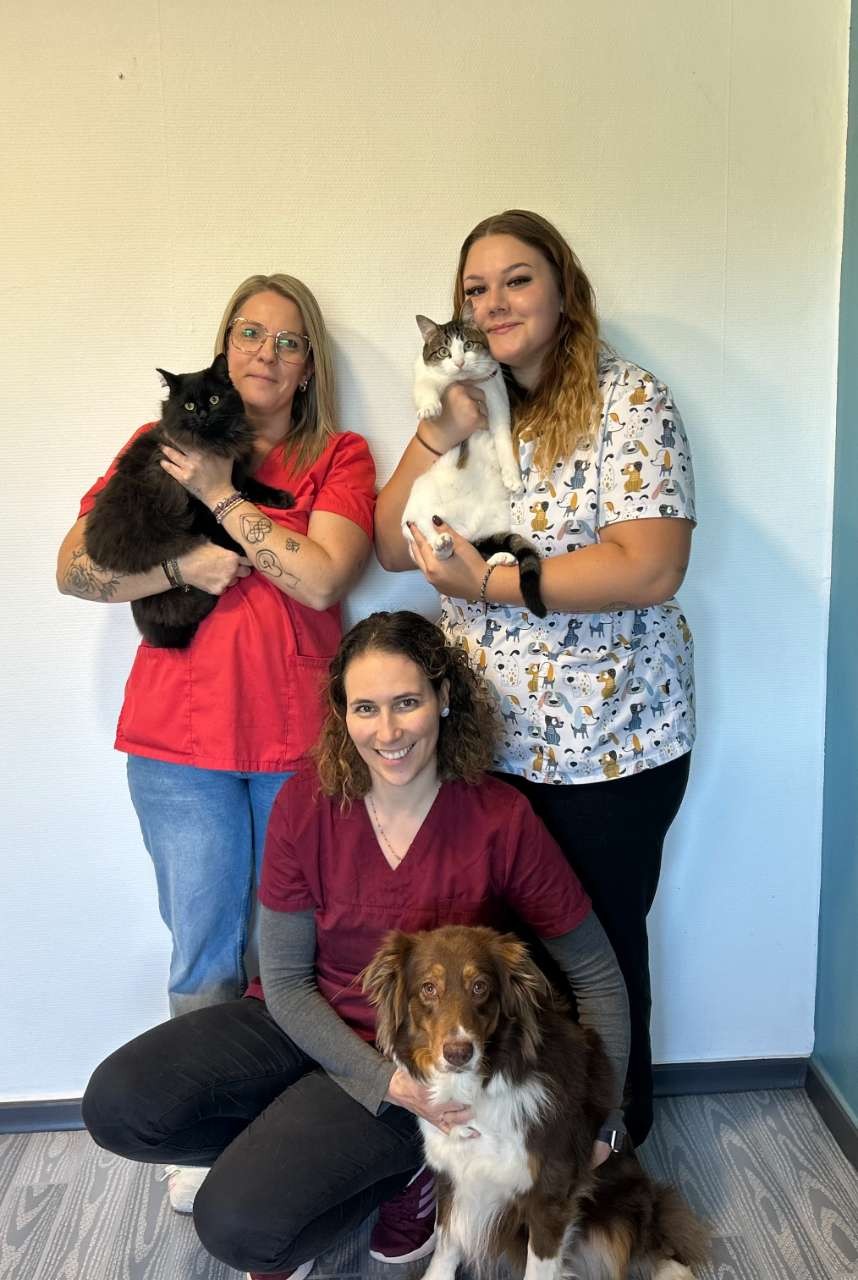 IVC EVIDENSIA France