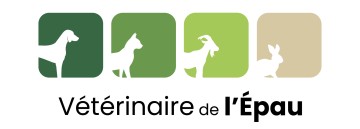 SELAS VETERINAIRES DE L'EPAU