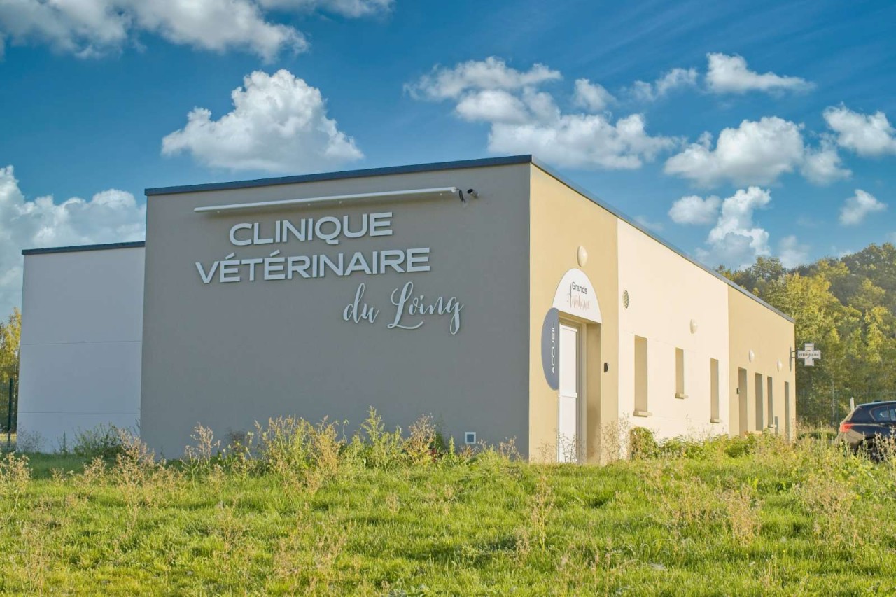 SCP Vétérinaire du Loing