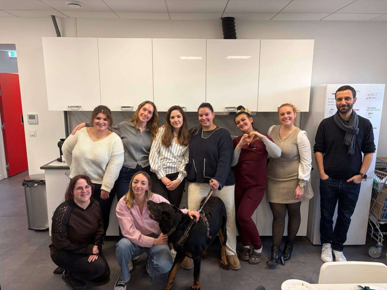 MAISONS DES URGENCES VETERINAIRES 