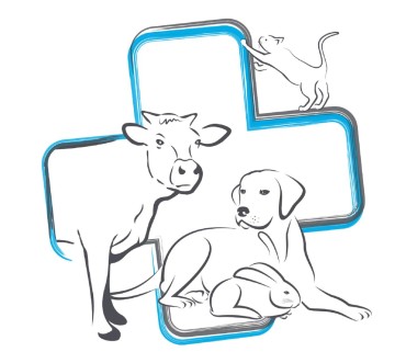 Clinique vétérinaire du parc