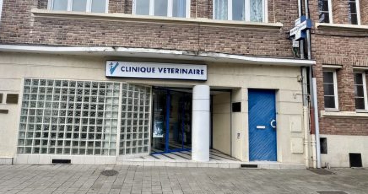 Réseau Univet