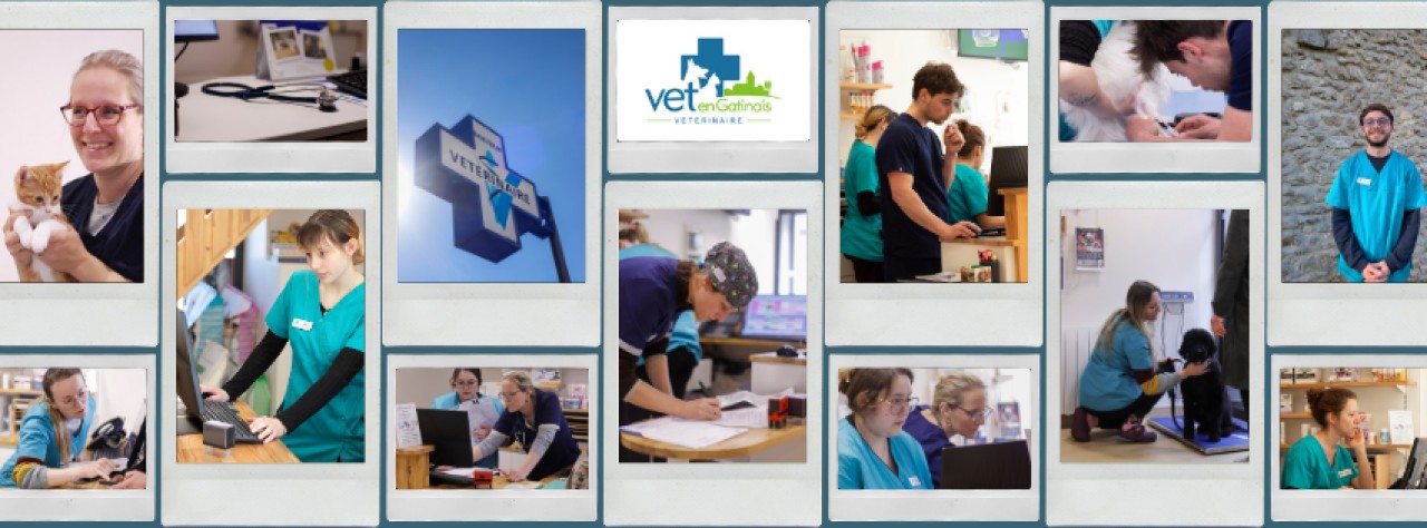 VET EN GATINAIS
