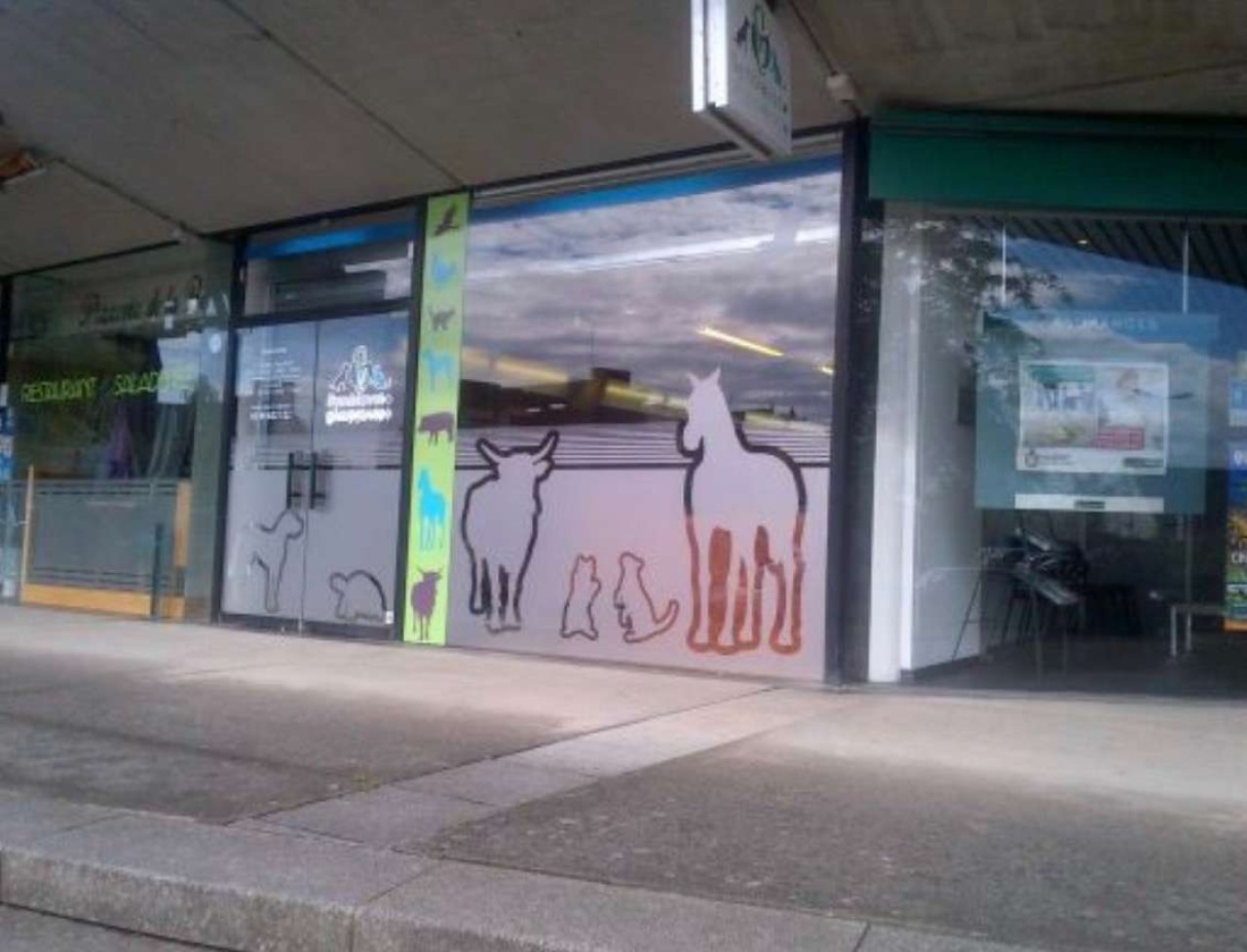 Clinique vétérinaire de la Baie