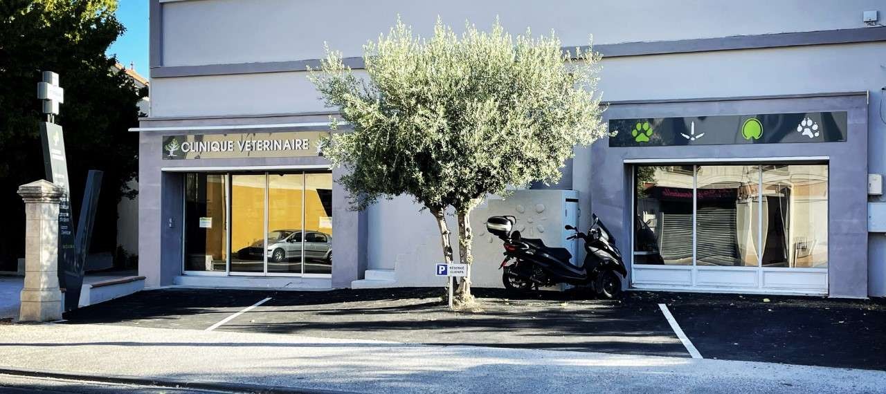 CLINIQUE VETERINAIRE DE L'OLIVIER 