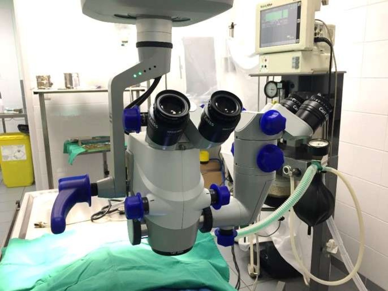 Clinique Vétérinaire Les Mimosas
