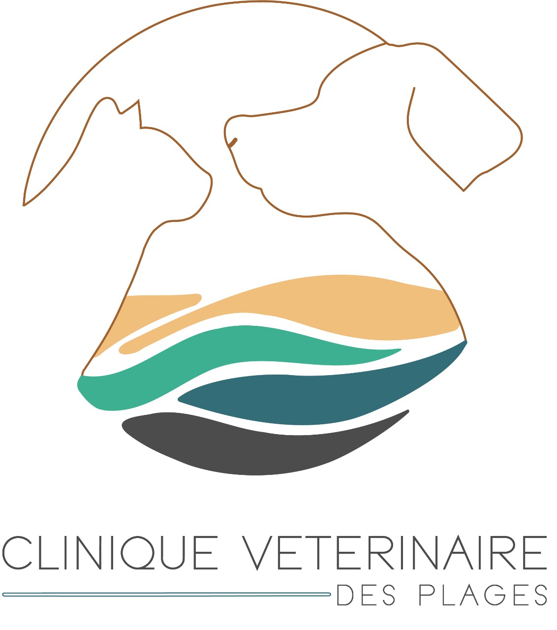 Selarl De Veterinaires De Saint Tropez