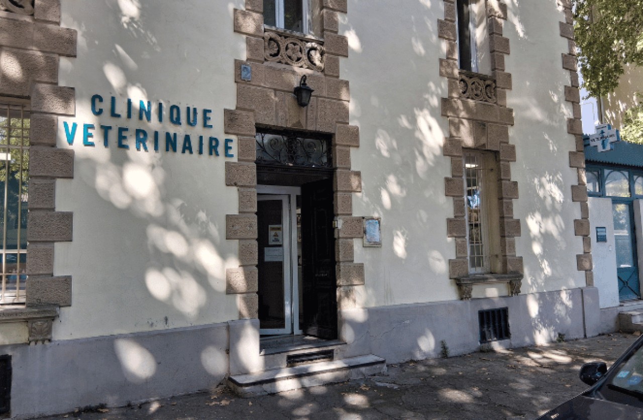 Réseau Univet