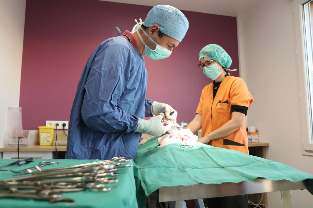 Clinique Vétérinaire du Luminier