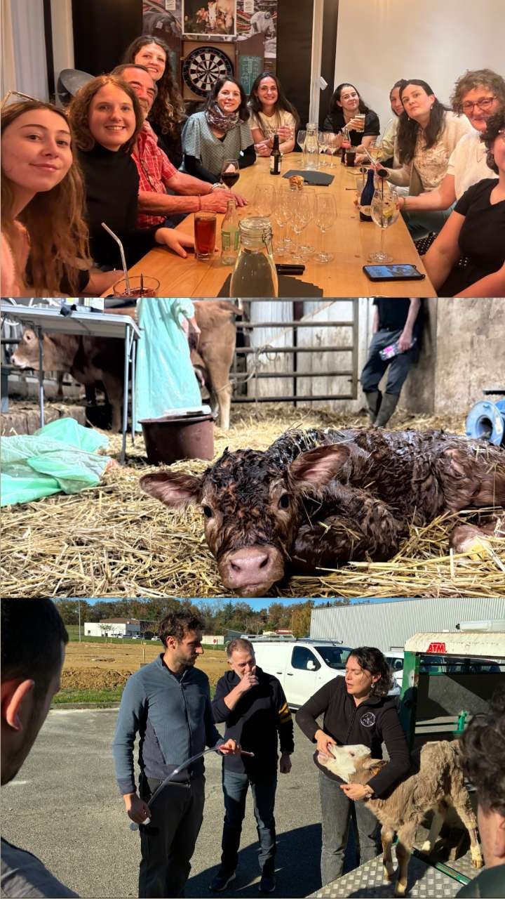Vétérinaires des mille coteaux - selarl astarac magnoac 
