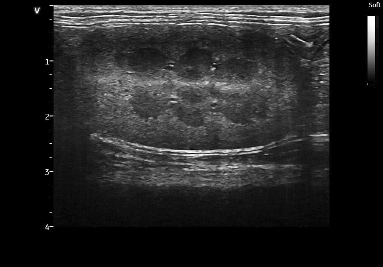 Clinique Vétérinaire Aixiancevet