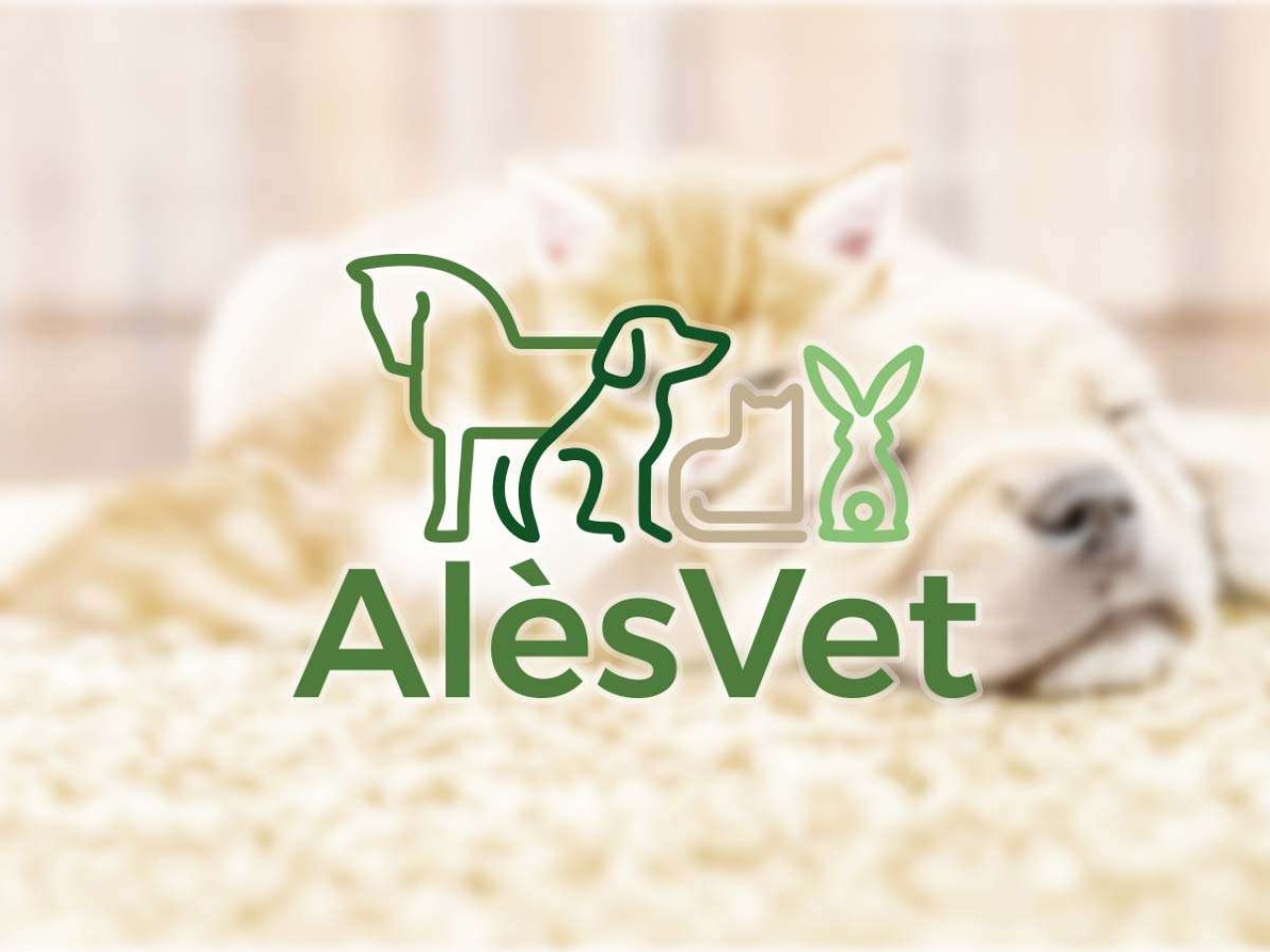 ALESVET