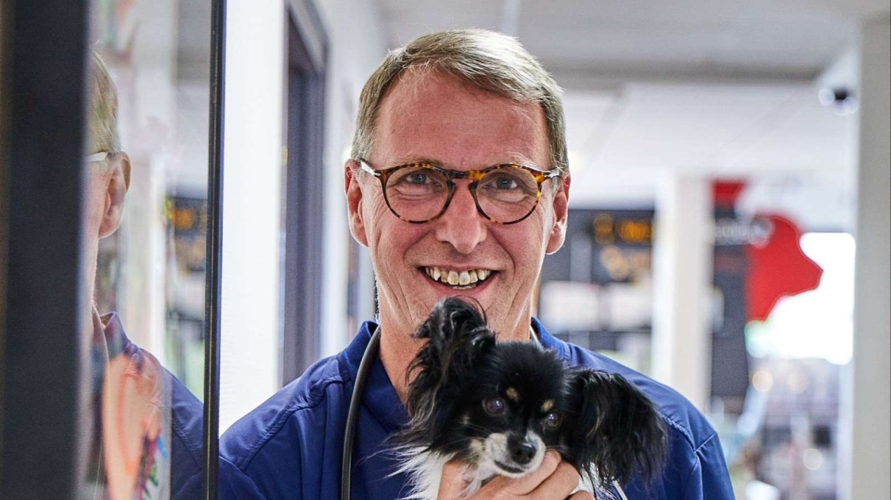 Oscar Et Compagnie Cliniques Vétérinaires