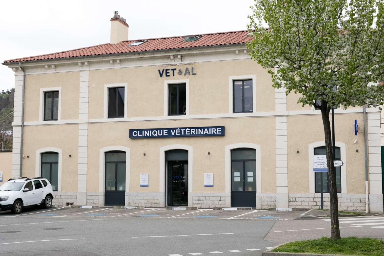 VET&AL - CV de SAINT ROMAIN-EN-GAL