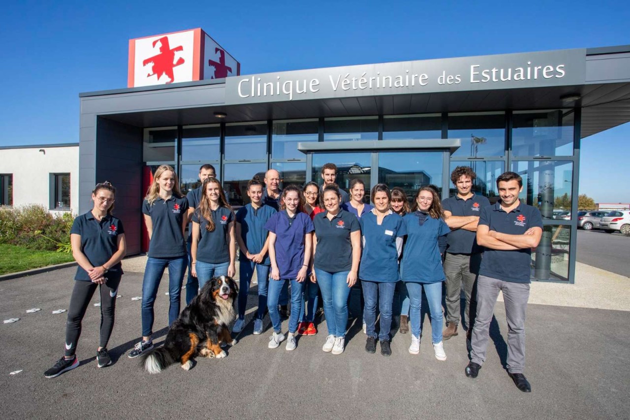 Clinique Vétérinaire Des Estuaires