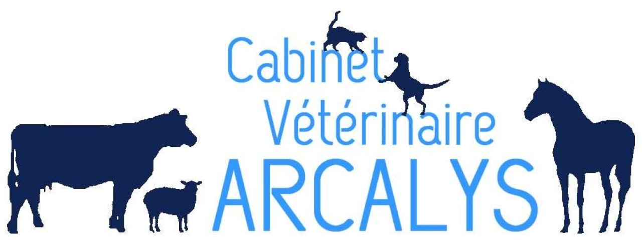 Cabinet Arcalys
